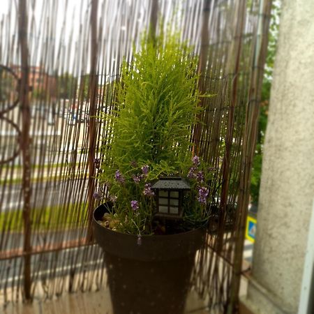 Katarzyny11 Apartment ทอรูน ภายนอก รูปภาพ
