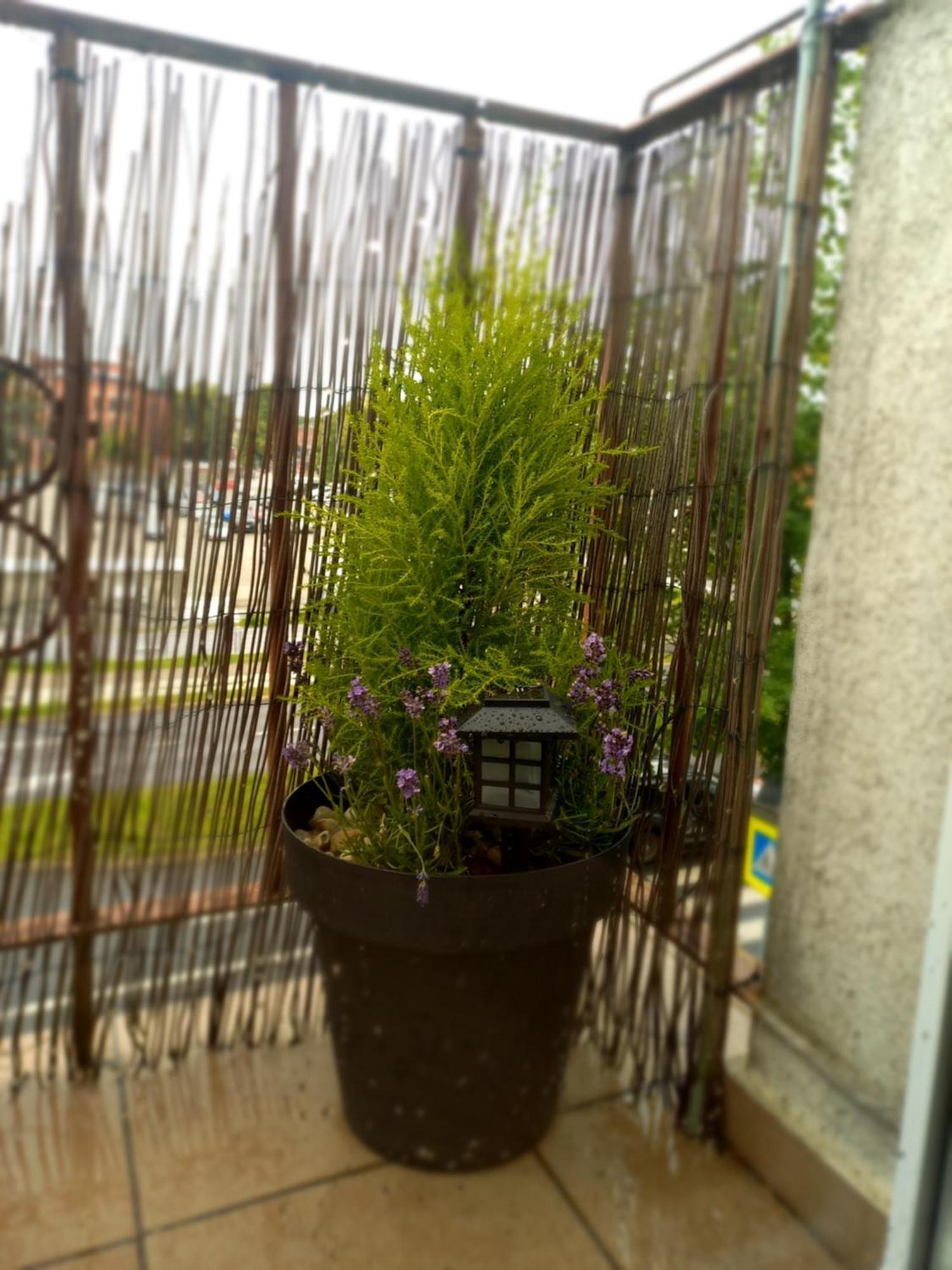 Katarzyny11 Apartment ทอรูน ภายนอก รูปภาพ